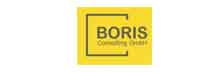 BORIS Consulting GmbH - Top Order Fulfillment Solutions Companies in Europe BORIS Consulting GmbH